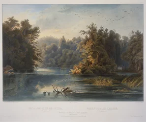 Forest Scene on the Lehigh